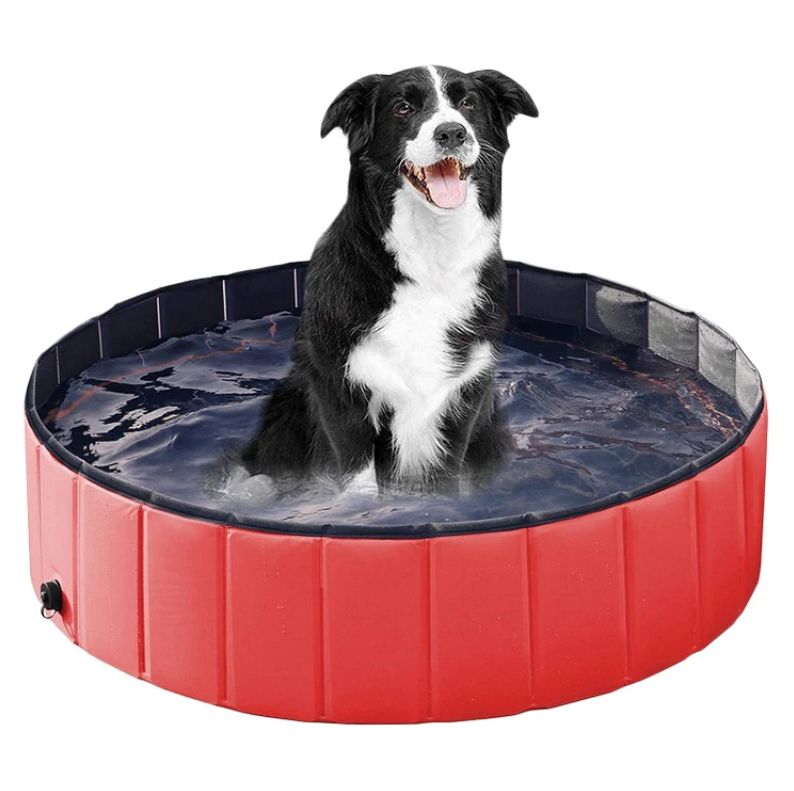 Outdoors pool for pets