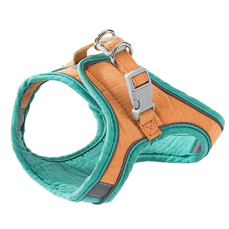 Cat Night Harness Leash