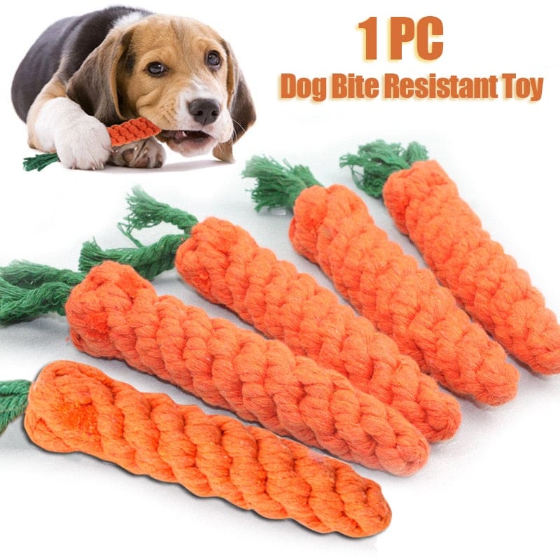 Carrot Chew Toy for Animals
