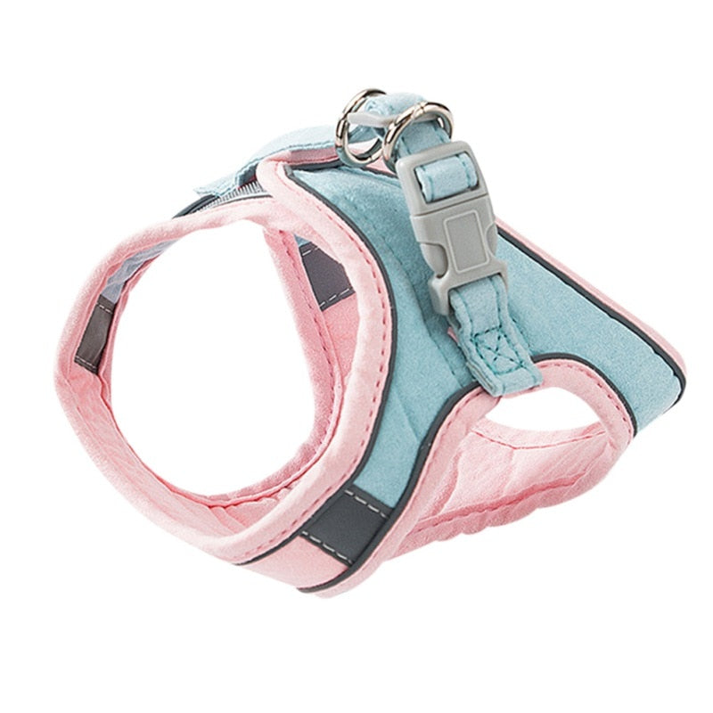 Cat Night Harness Leash