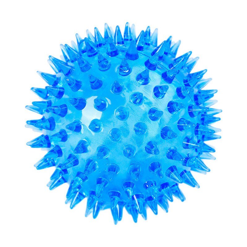 Pet Squeaky Ball