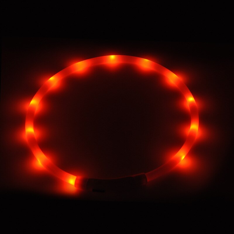 Luminous LED Dog Collar