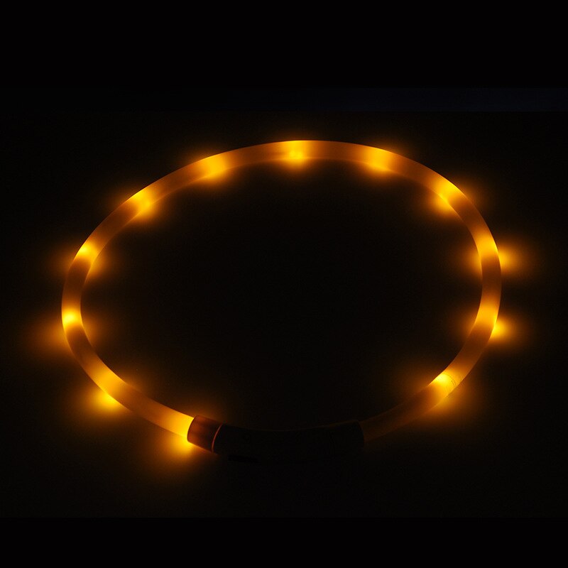 Luminous LED Dog Collar