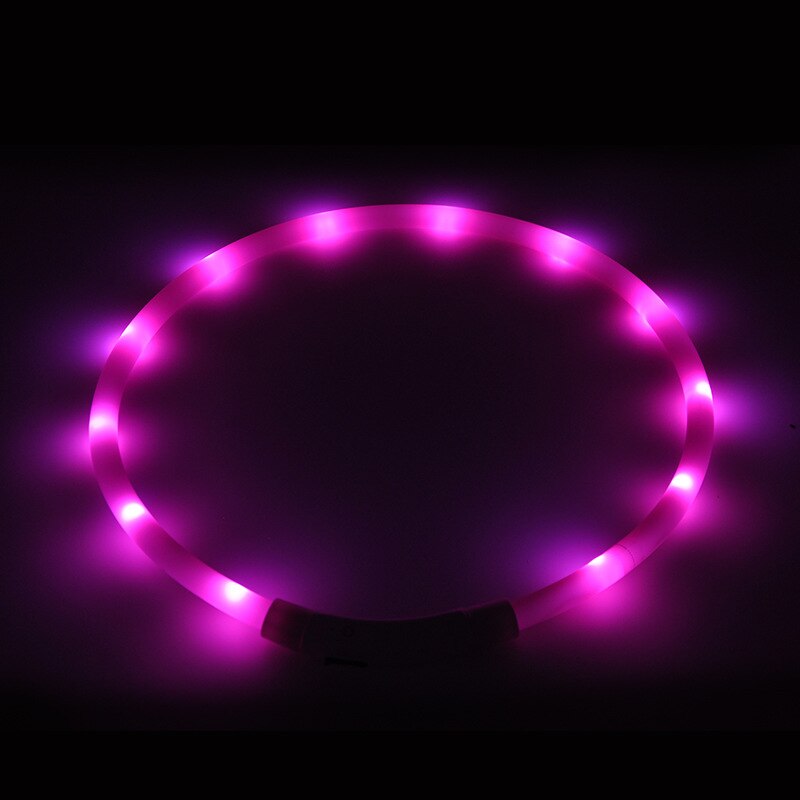 Luminous LED Dog Collar