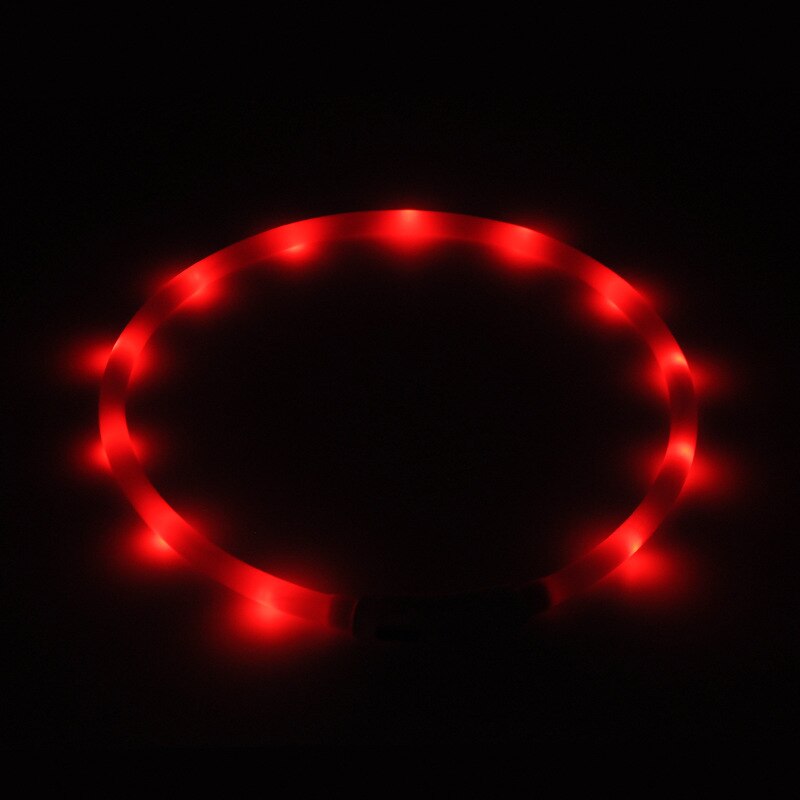 Luminous LED Dog Collar