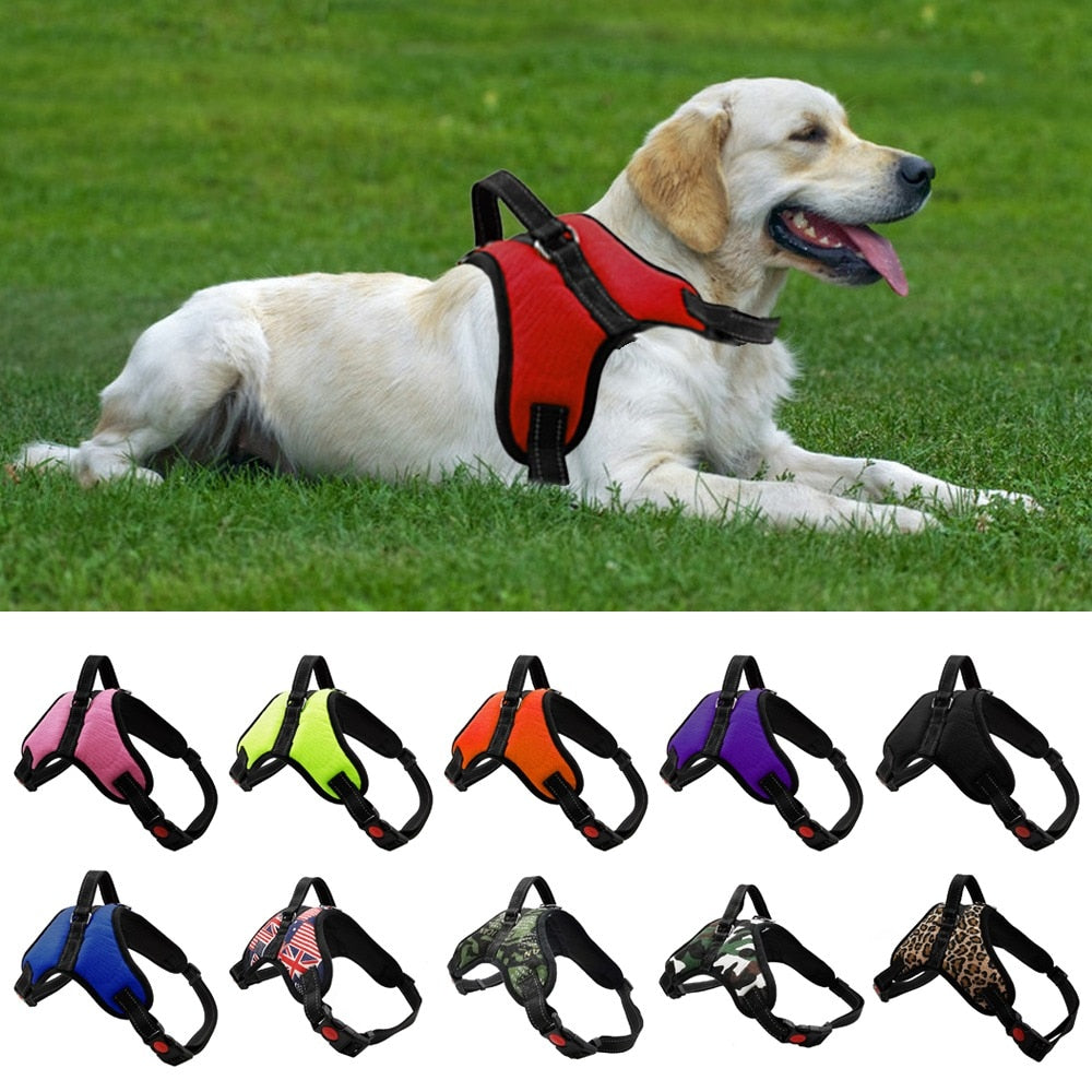 Adjustable Big Dog Harness
